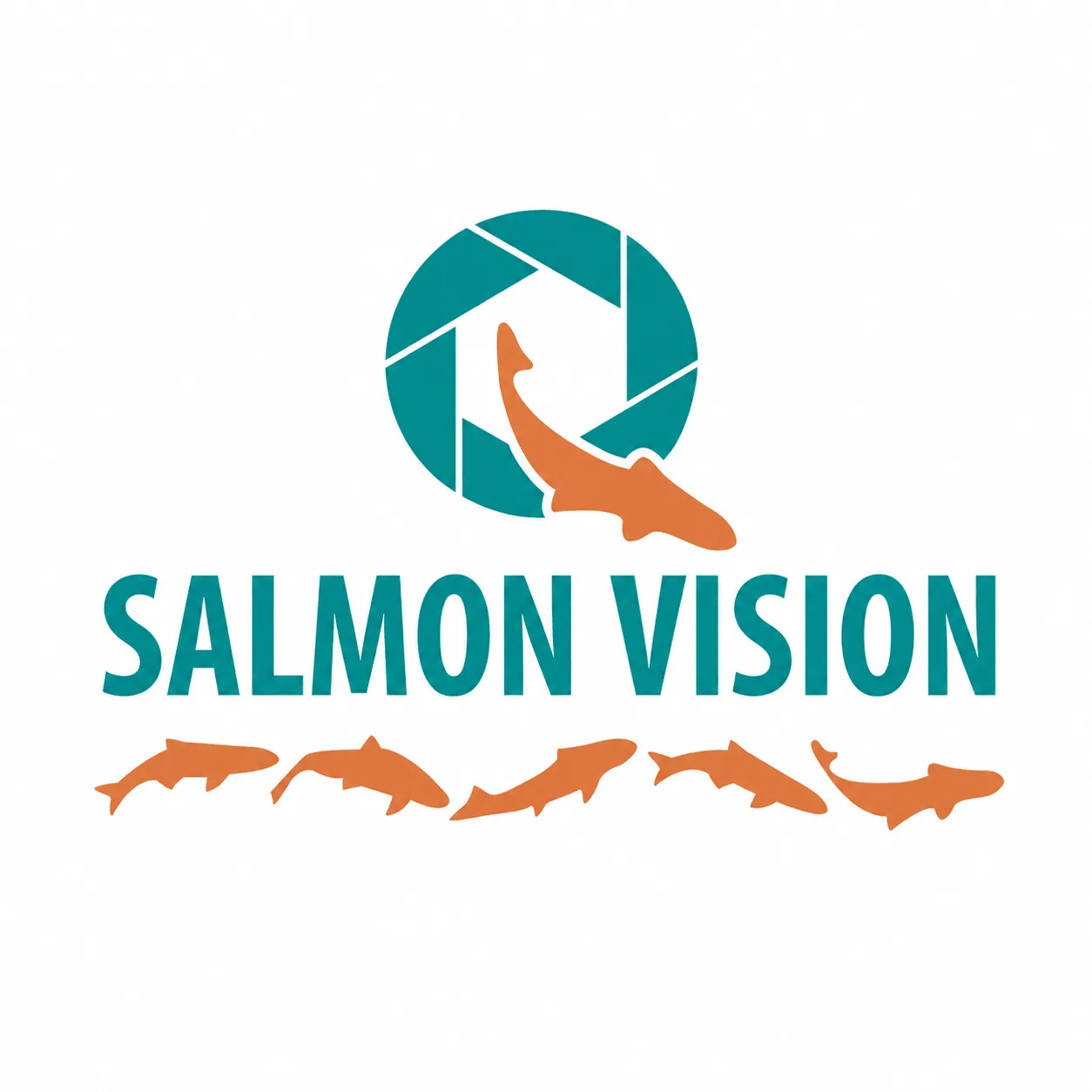 Salmonvision